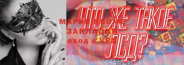 mdpv Волоколамск